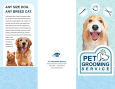brochure design India, 
Chennai brochure designer, freelance brochure design, afforadable 
brochure design, cost effective brochure desing,high quality brochure 
design, corporate brochure design 